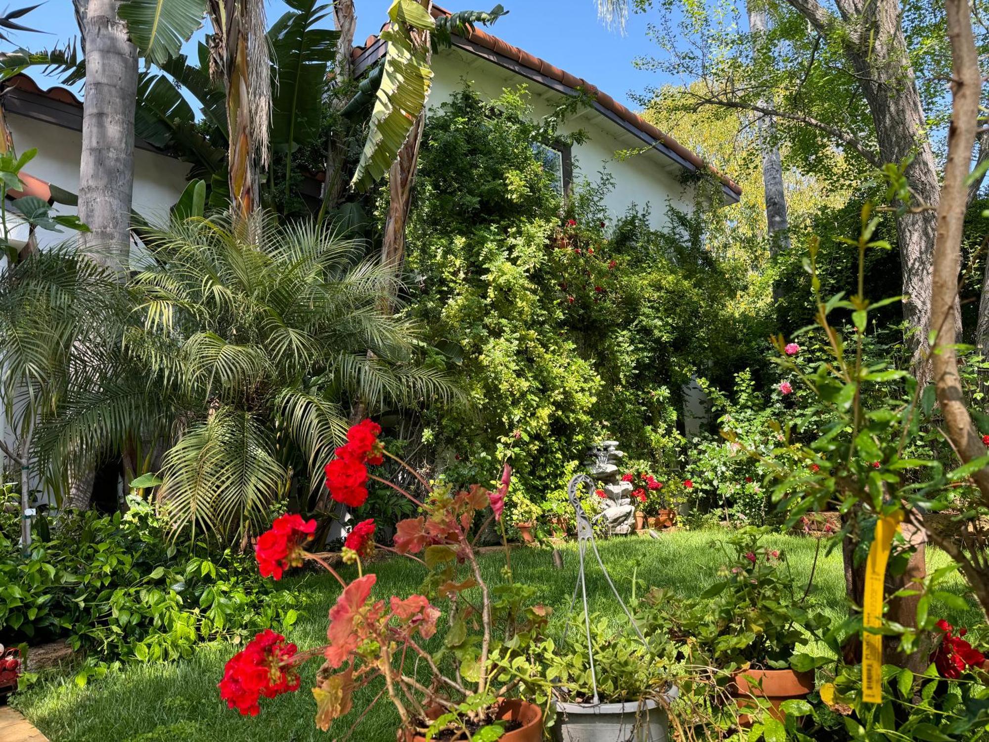 Angeles Hideaway - Costanso